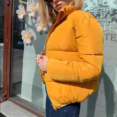 Winter Thicken Women's Short Parkas Coat Solid Stand Collar Warm Parka Female Cotton Padded 2019 Fashion Puffer Jacket For Women