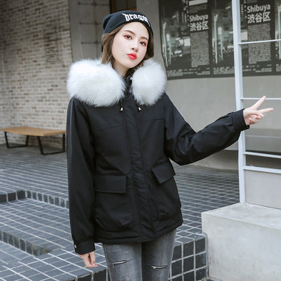 Down cotton women's autumn and winter 2019 new women's loose casual thin thick large fur collar ladies cotton coat wild jacket