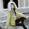 Down cotton women's autumn and winter 2019 new women's loose casual thin thick large fur collar ladies cotton coat wild jacket